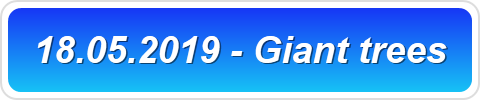 18.05.2019 - Giant trees